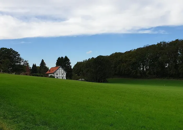 Appartement Familienfreundliche Gruene Oase Im Essener Sueden Essen