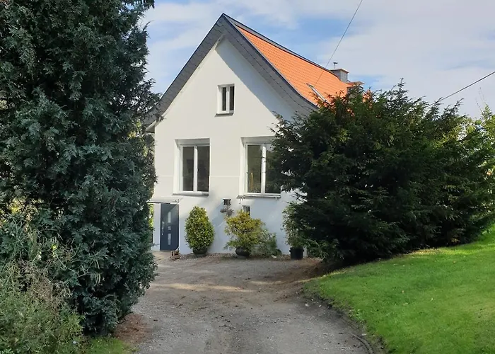 公寓 Familienfreundliche Gruene Oase Im Essener Sueden